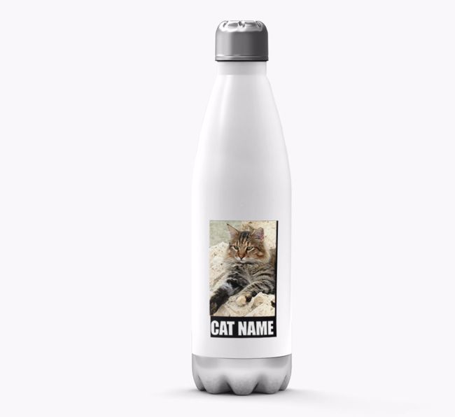 'Best Cat in the World'- Personalized Photo Upload {breedFullName} Water Bottle